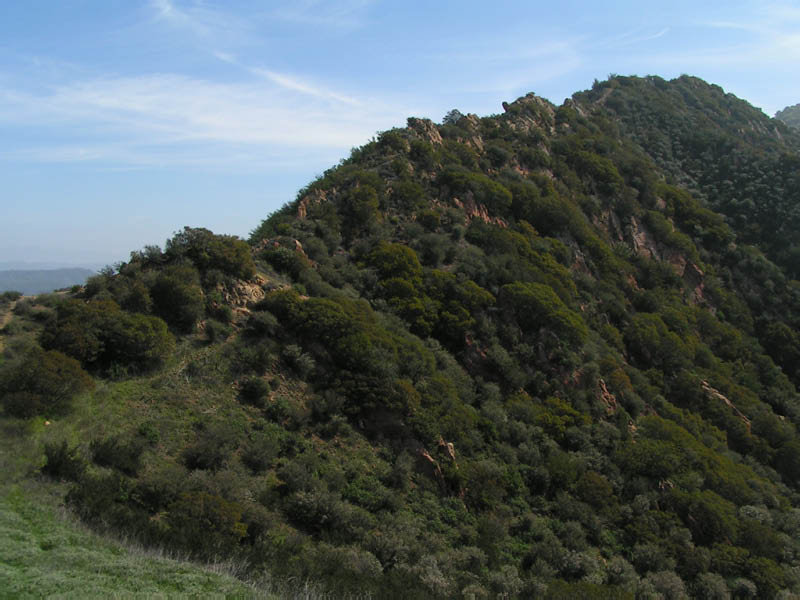 Trail goes up ridge btwn Topanga Cyn and Cold Creek Cyn