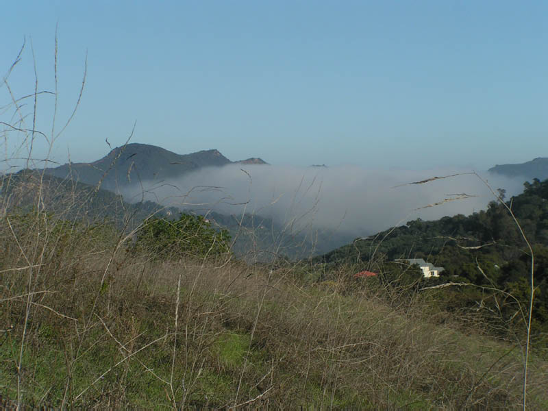 fog rolls up Topanga Canyon