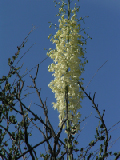 PICT0005