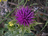 PICT0020