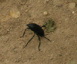PICT0021_edited
