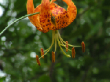 PICT0027