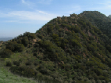 PICT0028