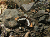 PICT0038