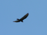 PICT0039_edited