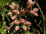 PICT0045