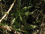 PICT0048