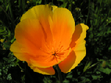 PICT0049