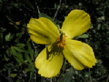 PICT0059