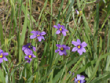 PICT0072