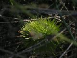 PICT0084