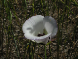 PICT0086_edited