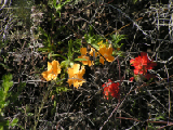 PICT0092