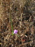 PICT0095