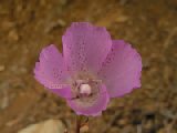 PICT0103