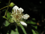 PICT0117