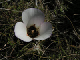PICT0123