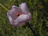 PICT0144