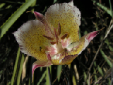 PICT0153