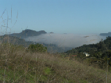 PICT0157