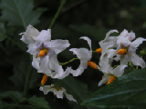 PICT0165
