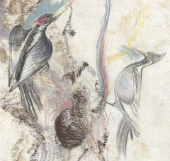 animal-6