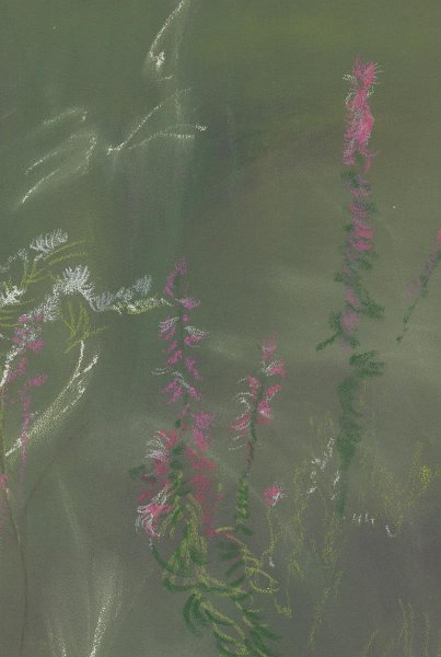 flowers-12.jpg - Liatris in Preserve Garden