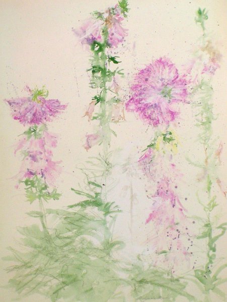 flowers-20.jpg - foxgloves in Jan's garden, watercolor