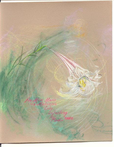 flowers-36.jpg - Madonna Lily for Marci