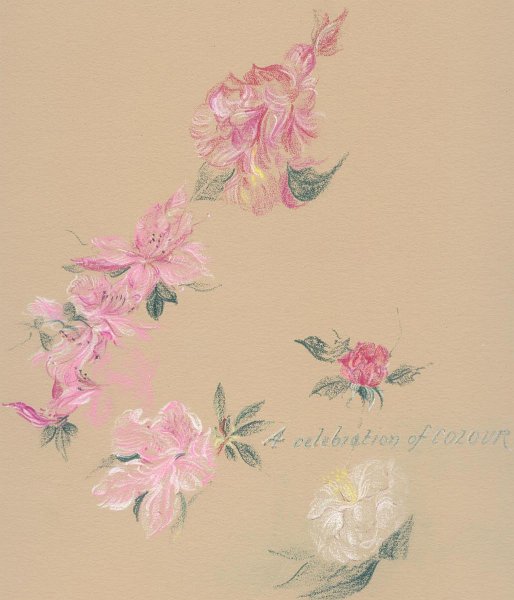 flowers-39.jpg - a celebration of colour