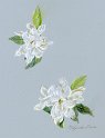 flowers-09