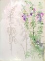 flowers-18