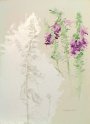 flowers-19