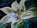 flowers-21