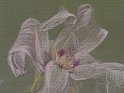 flowers-26
