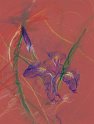 flowers-27