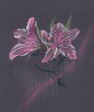 flowers-28