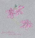 flowers-30