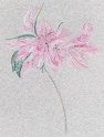 flowers-31