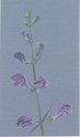 flowers-33