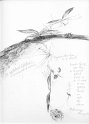 flowers-38