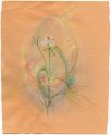flowers-42