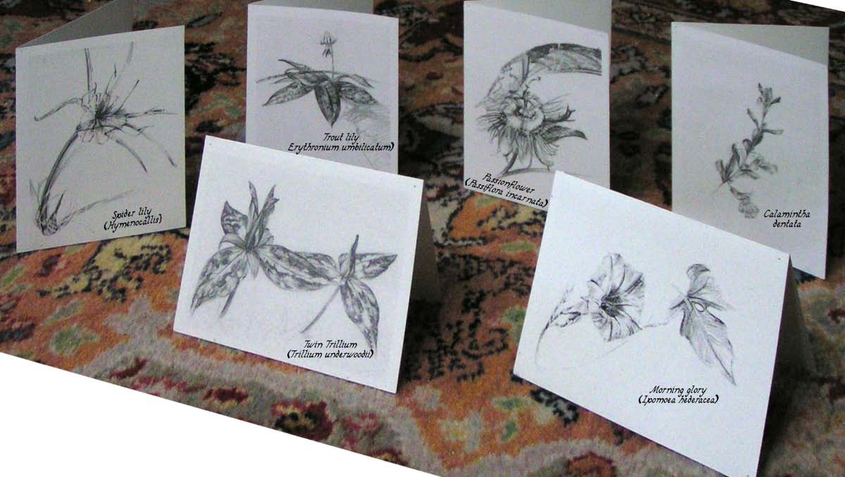 Wildflower cards with identification