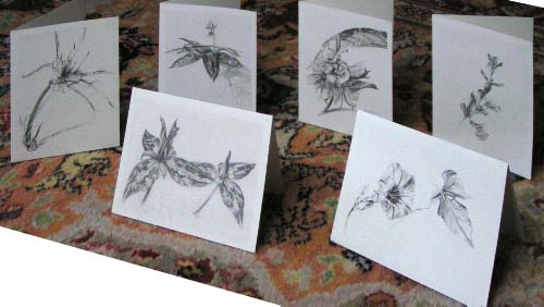 flower cards