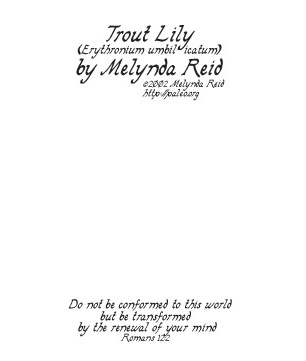 typical back of card